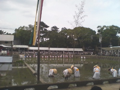 御田植神事ー住吉大社