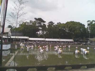 御田植神事ー住吉大社