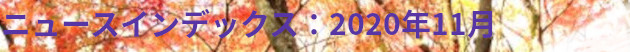 ニュースインデックス：2020年11月