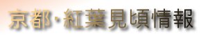 紅葉・見頃情報