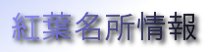 紅葉名所情報