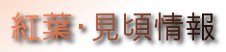 紅葉・見頃情報