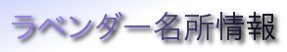 ラベンダー名所情報
